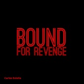 Bound for Revenge artwork