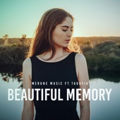 Beautiful Memory (feat. Taoufik) artwork