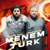 Menem Türk artwork