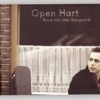Ruud Van Den Boogaard - Alles Komt Goed