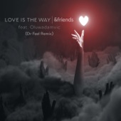 Love Is the Way (Dr Feel Extended Mix) artwork