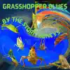 Grasshopper Blues - Single album lyrics, reviews, download