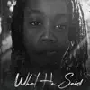 What He Said (feat. Broady Blanco, Soul Sun, Kham & Jermaine Holmes) - Single album lyrics, reviews, download
