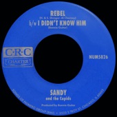 Sandy and The Cupids - Rebel