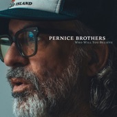 Pernice Brothers - Hey, Guitar