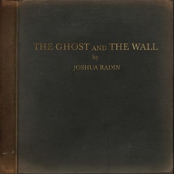 THE GHOST AND THE WALL cover art