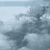 Plagio Plagiarismisart - Tormenta I
