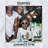 Longevity Flow - Single