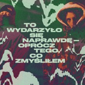 To Wydarzyło Się Naprawdę Oprócz Tego Co Zmyśliłem artwork