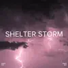 !!!" Shelter Storm "!!! album lyrics, reviews, download