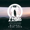 Without Your Love - Single