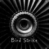 Bird Strike album lyrics, reviews, download