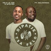 Dipatje Tsa Felo (feat. Daliwonga) - Felo Le Tee & Myztro
