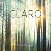 Vicente Avella - Claro