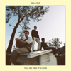 Wallows - Tell Me That It’s Over artwork