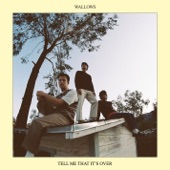 Wallows - I Don't Want to Talk
