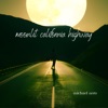 Moonlit California Highway - Single