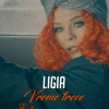 Vreme Trece - Single