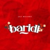 Baridi - Single