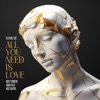 All You Need Is Love (Festival Edit) - Single