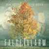 False Alarm - Single album lyrics, reviews, download