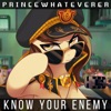 Know Your Enemy - Single