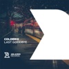 Last Goodbye - Single