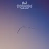 Bird Sounds Nature Sleep Aid - EP album lyrics, reviews, download
