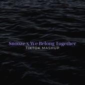 Snooze X We Belong Together (Tiktok Mashup) [Remix] artwork