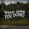 What Have You Done? - Single
