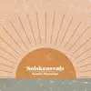 Stream & download Solskensvals - Single