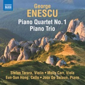 Enescu: Piano Quartet No. 1 in D Major, Op. 16 & Piano Trio in A Minor artwork