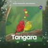 Tangara - Single