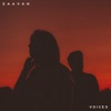 Voices - Single