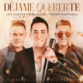 Déjame Quererte, Lloraras, Dile a Ese Hombre (feat. Tommy Portugal) artwork