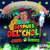 Después Del Choli - Single