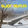 Black Beatles (Piano Version) - Single album lyrics, reviews, download