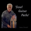 Steel Guitar Paths