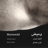 Wameedd artwork