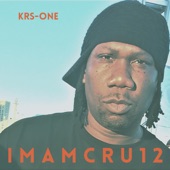 KRS-One - Raw Hip Hop