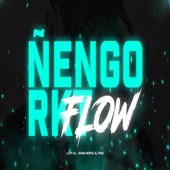 Ñengo Flow RKT artwork