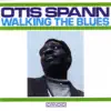 Walking the Blues (feat. St. Louis Jimmy & Robert Lockwood, Jr.) [1985 Reissue] album lyrics, reviews, download