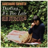 Guantanamo Baywatch - Too Late