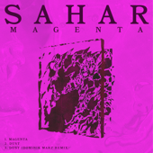 Dust (Dominik Marz Remix) - Sahar
