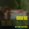 In the Water (MASS AVE Remix) [feat. Quinn XCII] - Single album lyrics, reviews, download