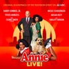 Annie Live! (Original Soundtrack of the Live Television Event on NBC) artwork