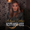 Nestvarno Vece - Single