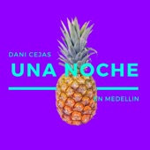 Una Noche En Medellin (Remix) artwork
