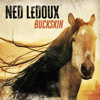 Ned LeDoux - Buckskin artwork