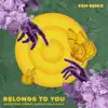 Belongs to You (feat. Paola Carla) [Edm Remix] - Single album lyrics, reviews, download